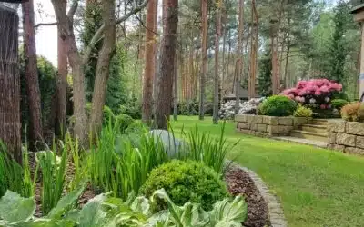 Ogród ozdobny w Wawrze