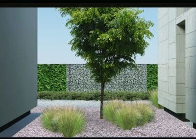 małe drzewo pomiędzy ścianami budynku