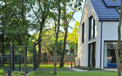 Ogród wśród sosen