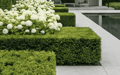 Projekt ogrodu minimalistycznego