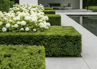 Projekt ogrodu minimalistycznego